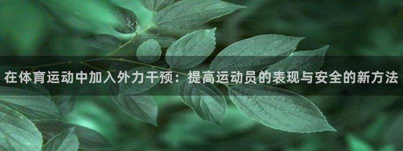 xc体育app官方网站
