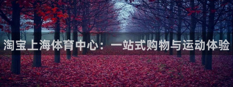 xc体育app官方网站