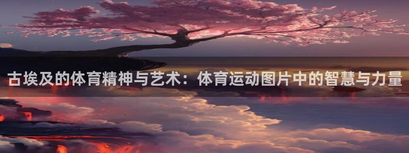 xc体育app官方网站