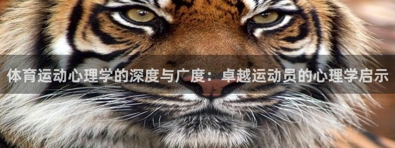 xc体育app官方网站