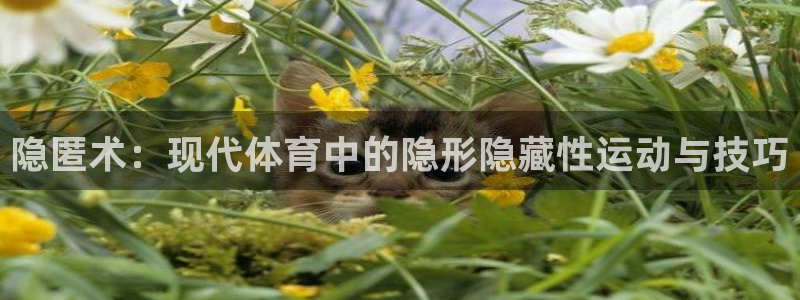 xc体育：隐匿术：现代体育中的隐形隐藏性运动与技巧