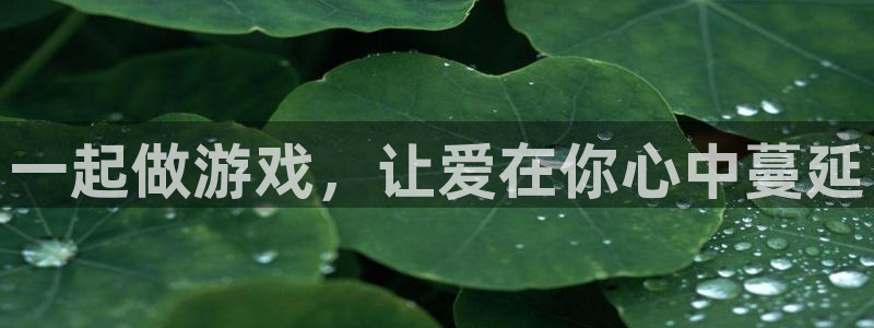 xc体育app官方网站