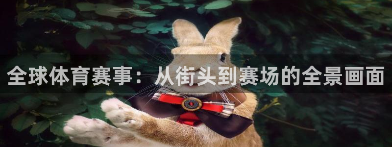 xc体育app官方网站