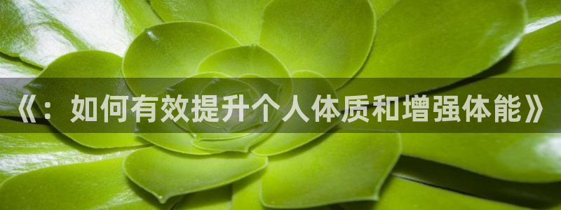 xc体育