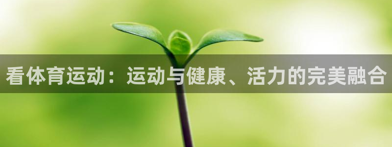 xc体育app官方网站