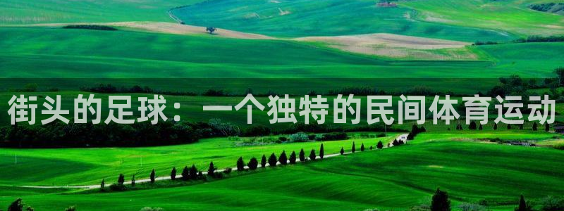 xc体育app官方网站