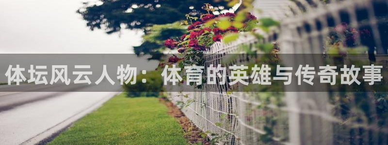 xc体育app官方网站