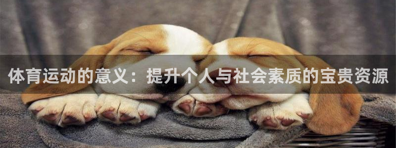 xc体育app官方网站：体育运动的意义：提升个人与社会素质的宝贵资源