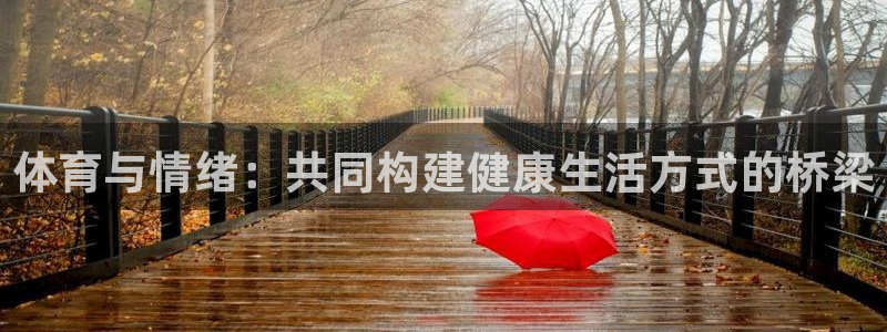 xc体育app官方网站：体育与情绪：共同构建健康生活方式的桥梁