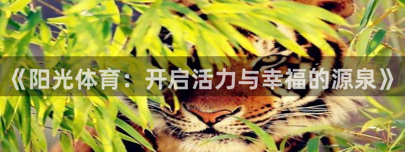 xc体育：《阳光体育：开启活力与幸福的源泉》