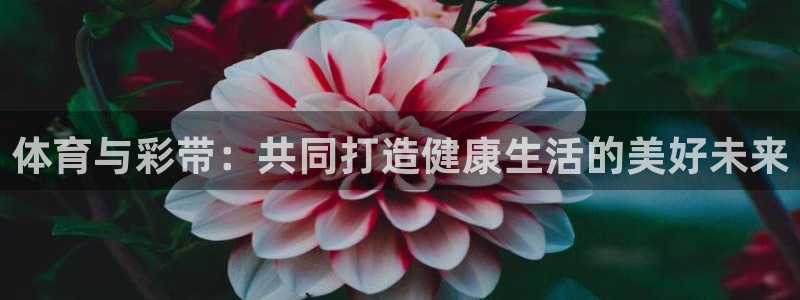 xc体育app官方网站：体育与彩带：共同打造健康生活的美好未来